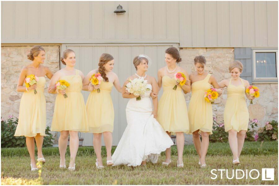 Fox-Valley-Wisconsin-Wedding-photographer-Studio-L-Photography_0042