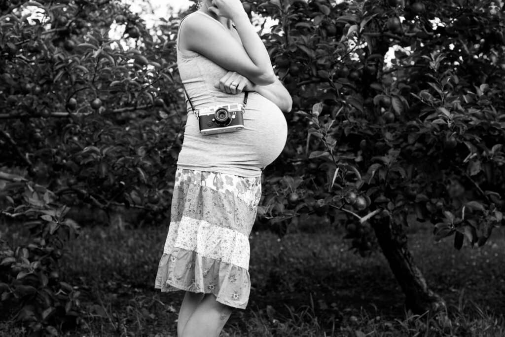 Pregnant Self Portrait Laura Schneider