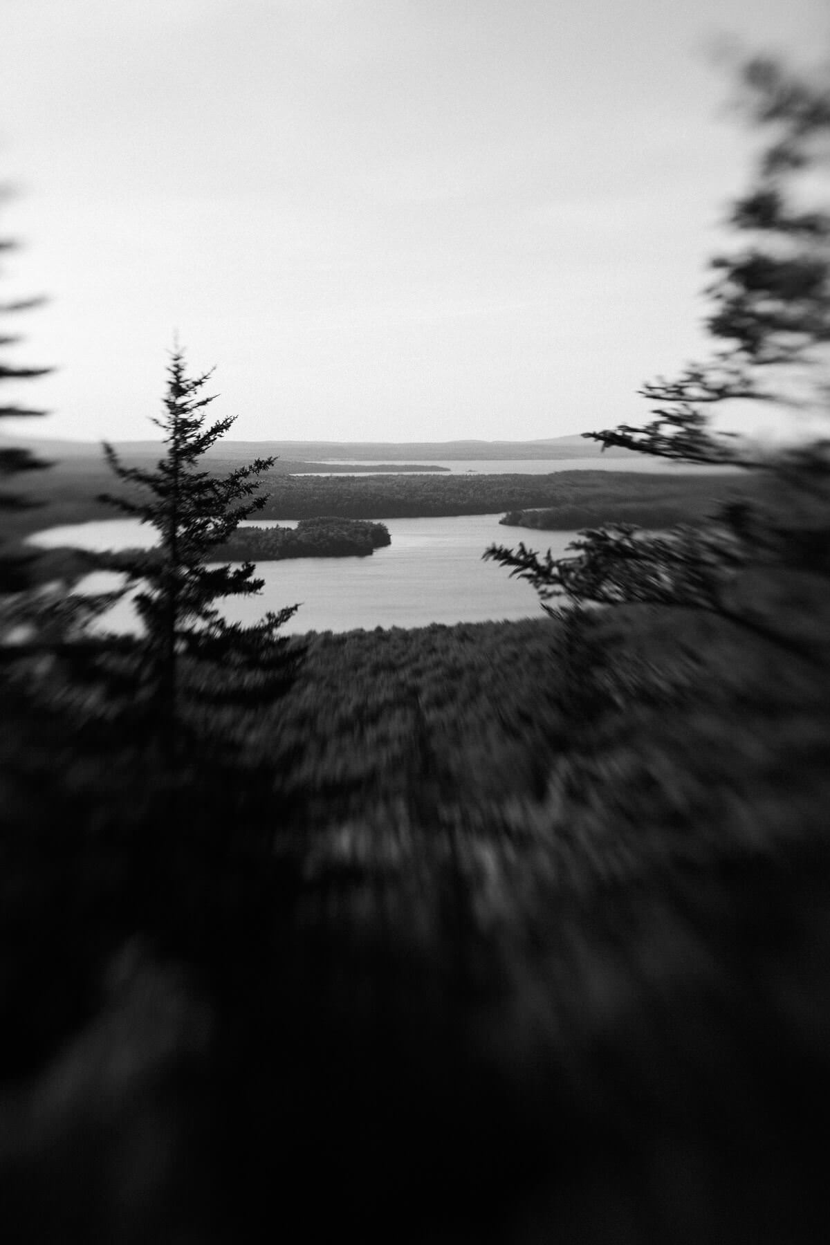 Maine-black-and-white-fine-art-photography-by-Studio-L-photographer-Laura-Schneider-_5503