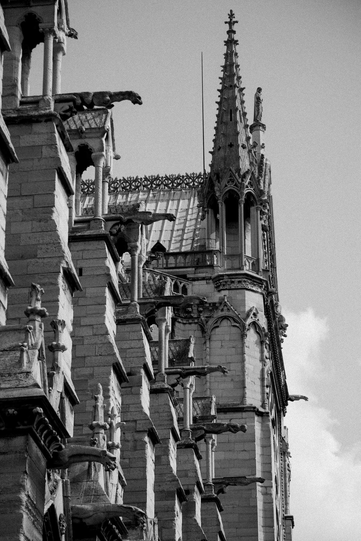 Notre-Dame-Paris-France-fine-art-photography-by-Studio-L-photographer-Laura-Schneider-_4979