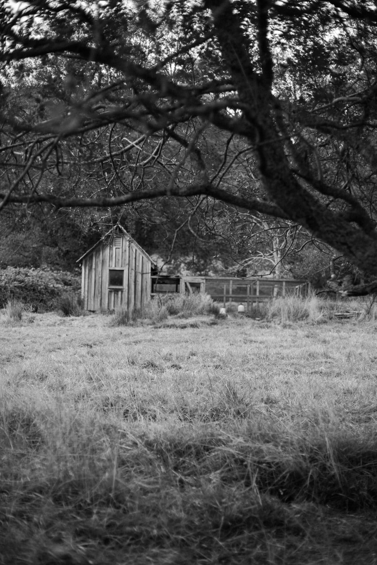 San-Juan-Islands-Washington-black-and-white-fine-art-photography-by-Studio-L-photographer-Laura-Schneider-_8602