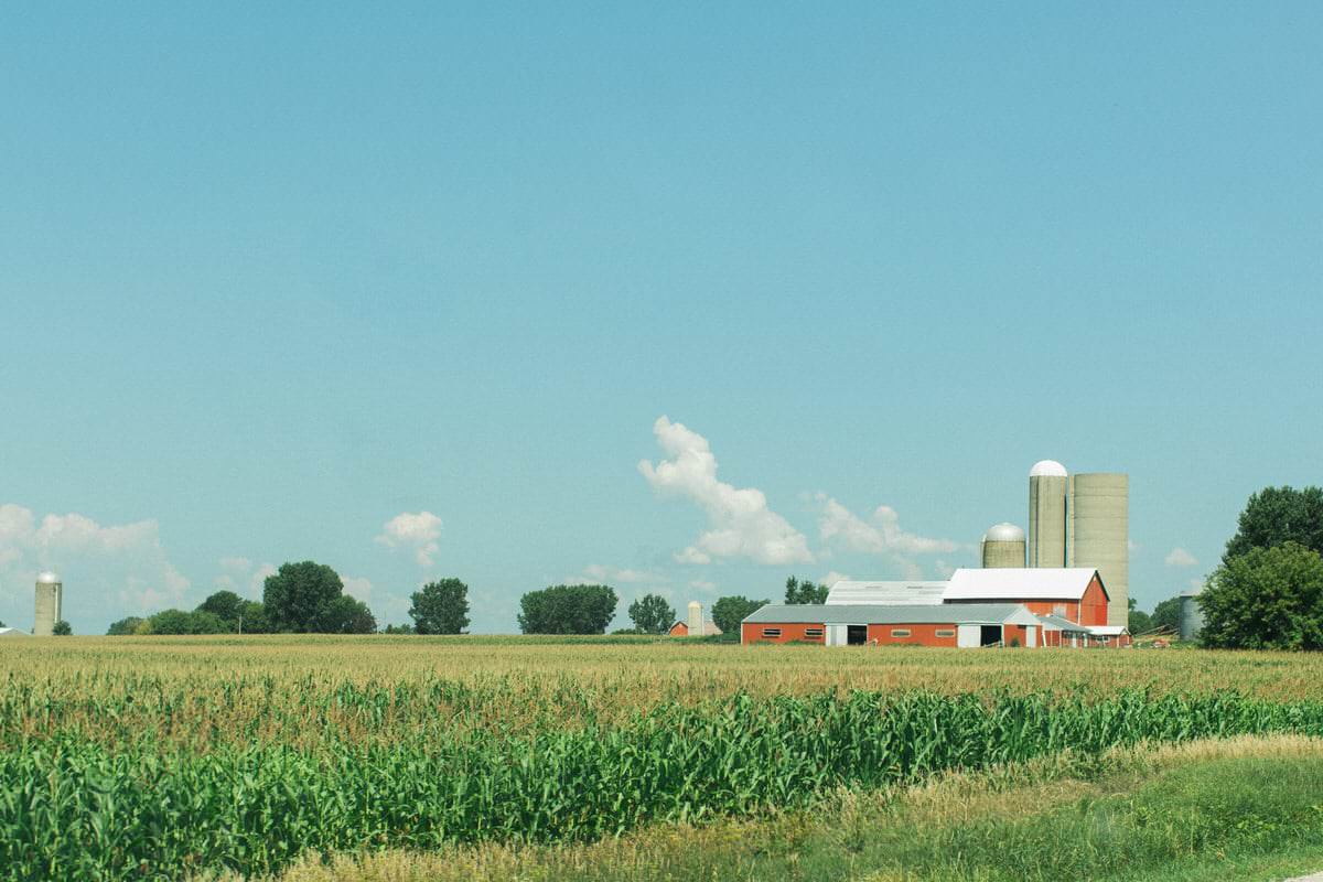 Wisconsin-farm-fine-art-photography-by-Studio-L-photographer-Laura-Schneider-_0144
