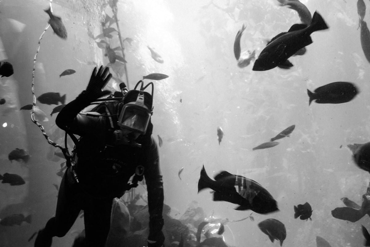 Monterey-Bay_Aquarium-Cannery-Row-Monterey-California-black-and-white-fine-art-photography-by-Studio-L-photographer-Laura-Schneider-_3366