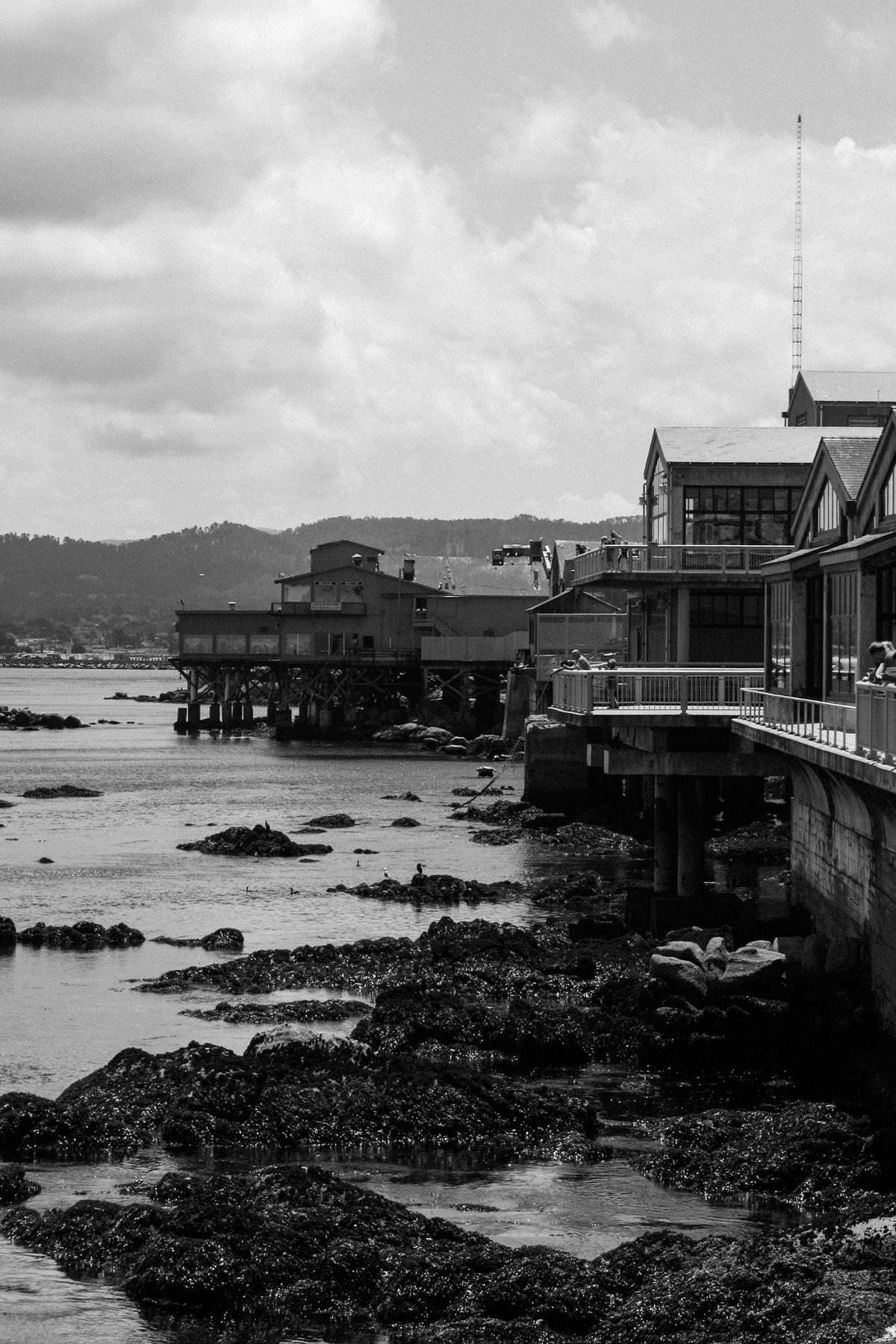Monterey-Bay_Aquarium-Cannery-Row-Monterey-California-black-and-white-fine-art-photography-by-Studio-L-photographer-Laura-Schneider-_3399