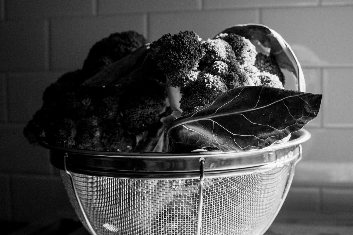 Organic-broccoli-from-Park-Ridge-Organics-Fond-du-Lac-Wisconsin-black-and-white-fine-art-photography-by-Studio-L-photographer-Laura-Schneider-_12130
