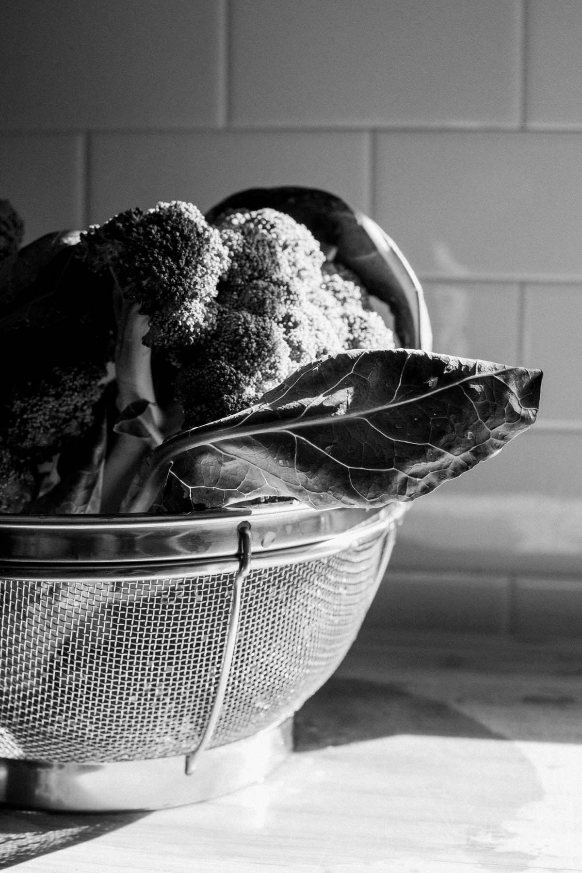 Organic-broccoli-from-Park-Ridge-Organics-Fond-du-Lac-Wisconsin-black-and-white-fine-art-photography-by-Studio-L-photographer-Laura-Schneider-_12139