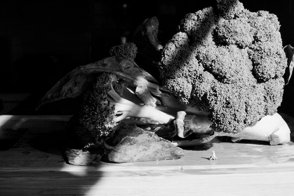 Organic-broccoli-from-Park-Ridge-Organics-Fond-du-Lac-Wisconsin-black-and-white-fine-art-photography-by-Studio-L-photographer-Laura-Schneider-_12153