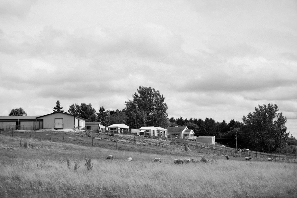 Cristo-Rey-Ranch-Wisconsin-black-and-white-fine-art-photography-by-Studio-L-photographer-Laura-Schneider-_1880