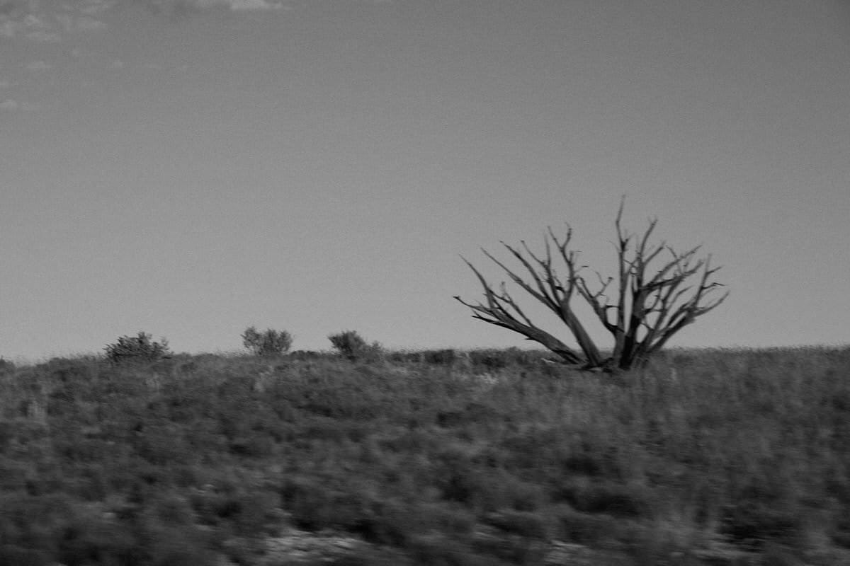 Supai-Arizona-black-and-white-fine-art-photography-by-Studio-L-photographer-Laura-Schneider-_0345