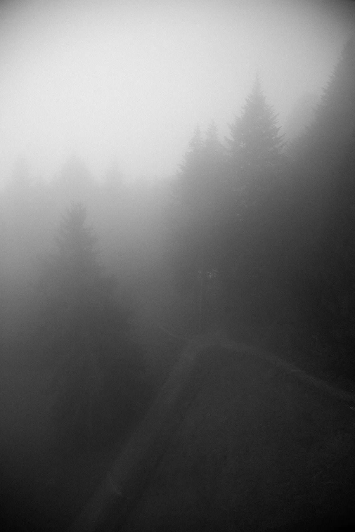 Mount_Pilatus_Lucerne_Switzerland-black-and-white-fine-art-photography-by-Studio-L-photographer-Laura-Schneider-_4418