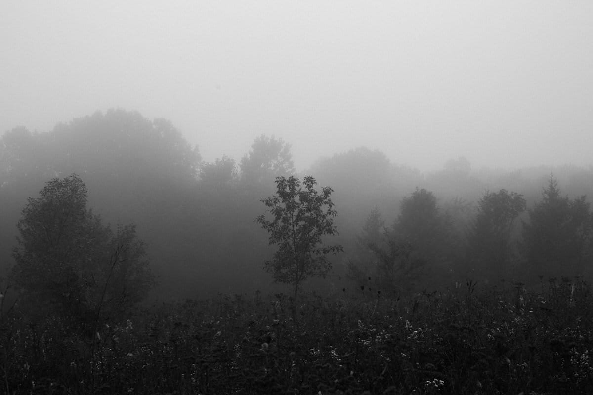 Kiekhaefer-Park-Fond-du-Lac-Wisconsin-black-and-white-fine-art-photography-by-Studio-L-photographer-Laura-Schneider-_3396