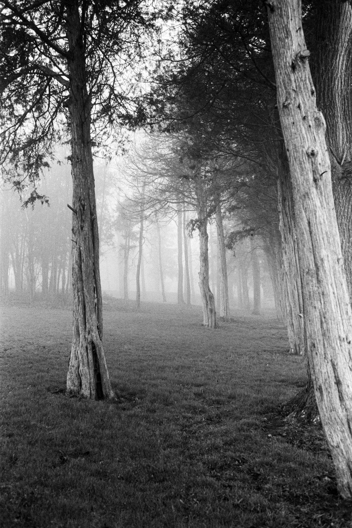 Midwest-Fog-black-and-white-fine-art-film-photography-by-Studio-L-photographer-Laura-Schneider-_023