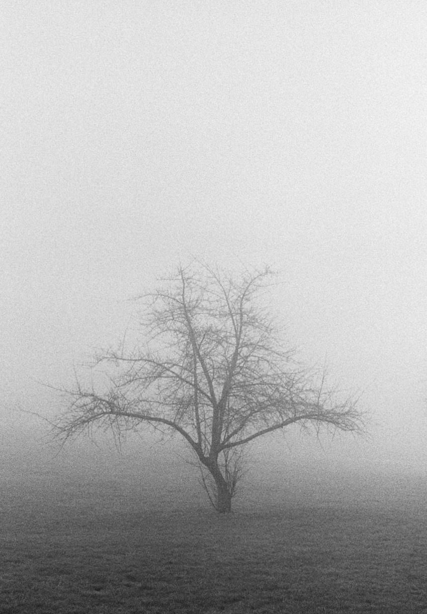 Thorns-black-and-white-fine-art-film-photography-by-emerging-artist-Studio-L-photographer-Laura-Schneider-_028