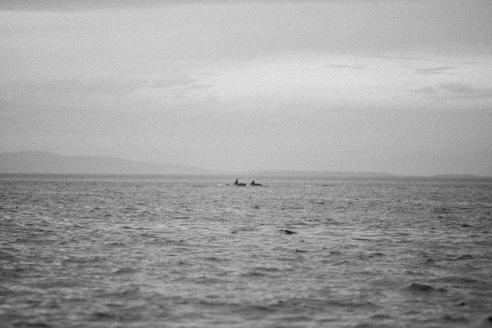 Orcas-Island-San-Juan_Islands-travel-photography-by-Studio-L-artist-photographer-Laura-Schneider_-8933
